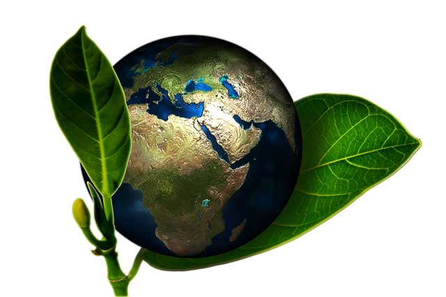 Environmentally Friendly